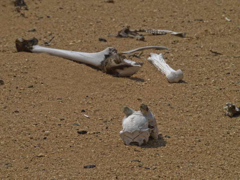 Swakopmund
